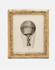 Pigeon and Poodle Corinth Brass Frame