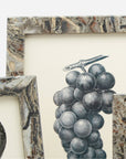 Pigeon and Poodle Corsica Marble Frame