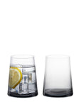 Empire DOF Tumblers Smoke, Set of 2 Tumblers Anton Studio Designs