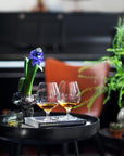 Cabernet Brandy Glass, Clear, Set of 6