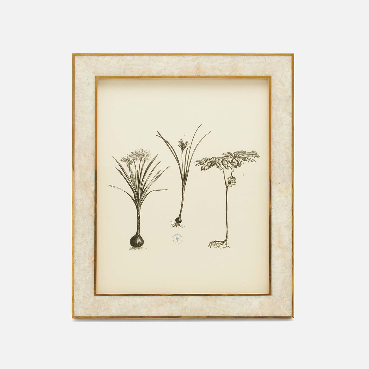 Pigeon and Poodle Helena Picture Frame