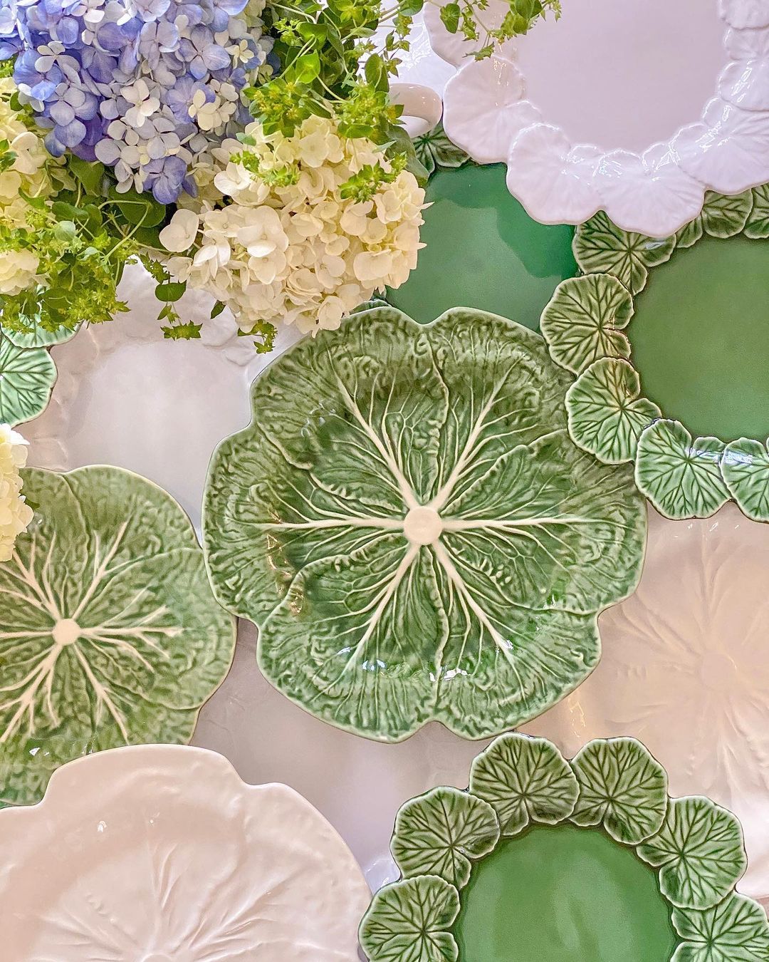 Cabbage Dinner Plate